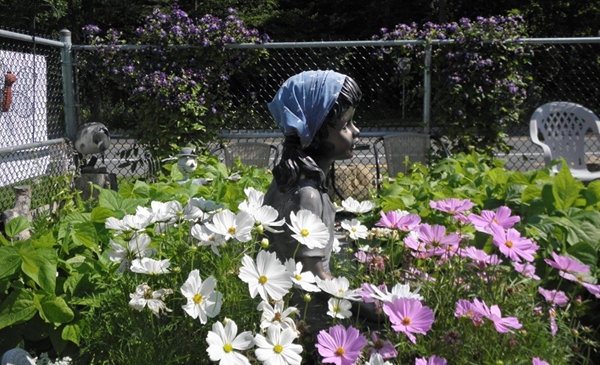 Le Jardin communautaire de Chambly choisi comme exemple d’agriculture urbaine