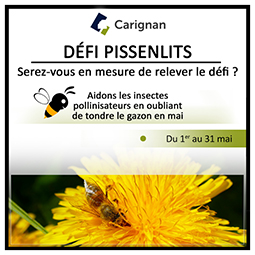 Carignan_carré_avril_2023