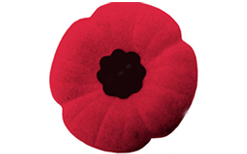 En hommage aux soldats disparus