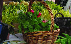 Dégustation gratuite des produits régionaux au Marché public de Chambly