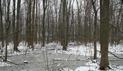 Le Collectif pour le parc du bassin de Chambly fait un bilan positif de l’année 2012