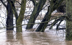 La rivière l’Acadie sous surveillance