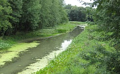 Une pétition pour la protection de l’écosystème du bassin de Chambly
