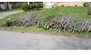 Collecte de branches à domicile dans la semaine du 6 mai à Carignan