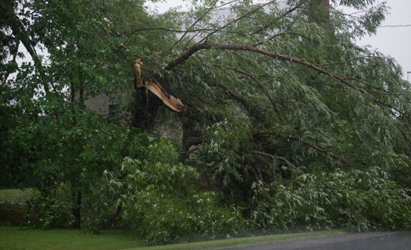 Les dommages causés par les vents violents sont couverts par les assurances