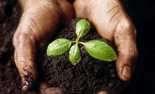 Le IGA Marché Lambert et Frères offre des tonnes de compost