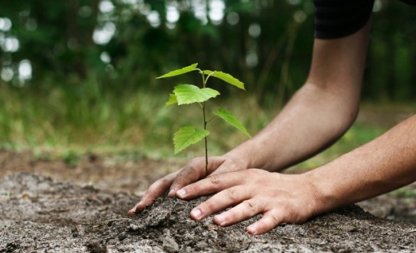Jean-Fran&ccedil;ois Roberge distribuera 1 000 arbres gratuits le 20 mai prochain