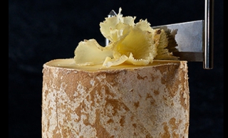 Dégustation de fromages Au gré des champs