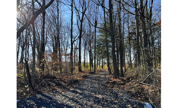 Nouveau sentier reliant le boulevard De Périgny au parc Robert-Lebel à Chambly (Photo: courtoisie, Ville de Chambly)