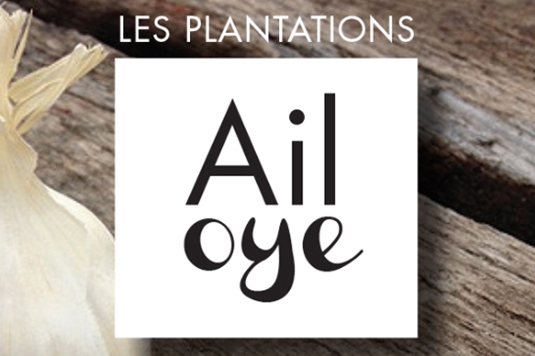 Les Plantations Ail Oye, pour déguster l’ail du Québec