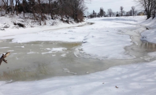 La rivière L&#039;Acadie à Carignan