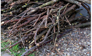 Collecte de branche à Marieville dans la semaine du 31 octobre
