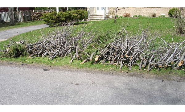 Collecte de branche à Carignan dans la semaine du 5 septembre 2022 (Photo: courtoisie, Ville de Craignan)