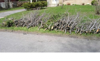 (Photo: courtoisie, Ville de Carignan)