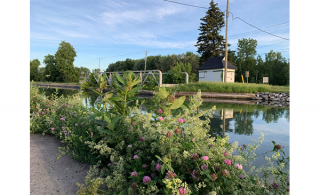 (Photo: courtoisie, Parc Canada)