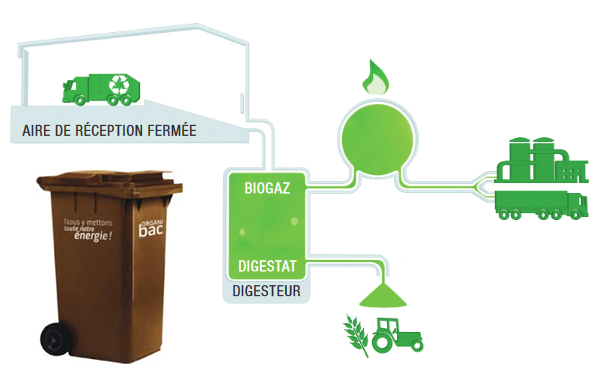 Organibac : comment ça marche ?