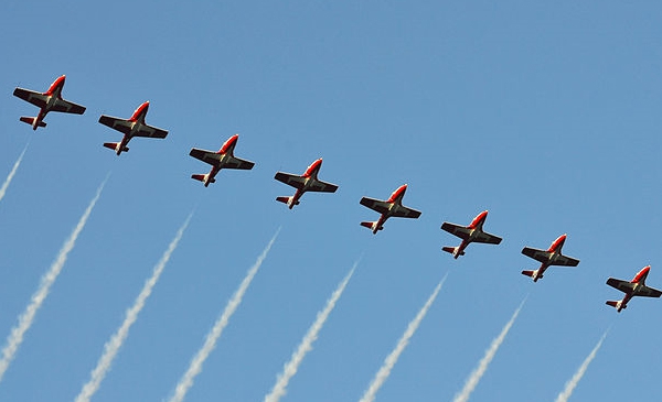 Les Snowbirds en spectacle.