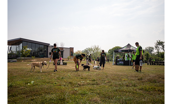 (Photo: courtoisie, SPCA Rousillon)