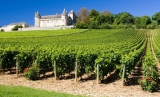 Notion de cru en Bourgogne