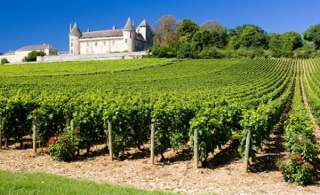 Notion de cru en Bourgogne
