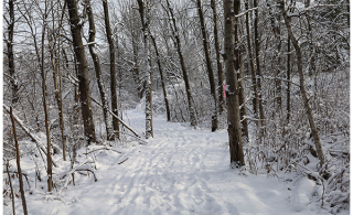 Aménagement de sentiers pédestres au parc naturel des Ruisseaux à Chambly (Photo: courtoisie, Ville de Chambly)