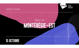 Appel de projets pour les artistes, écrivains et organismes artistiques de la Montérégie-Est