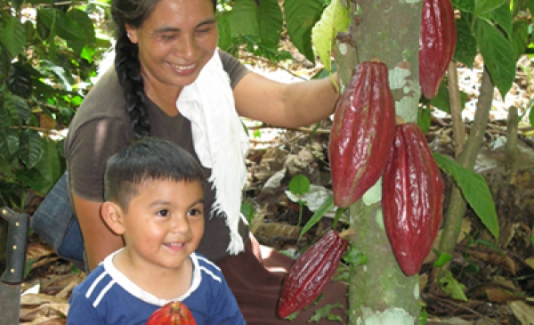 Découvrez le Guatemala autrement