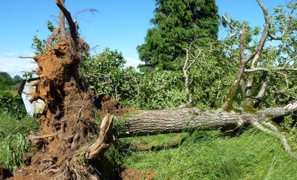 De violents orages balaient la région