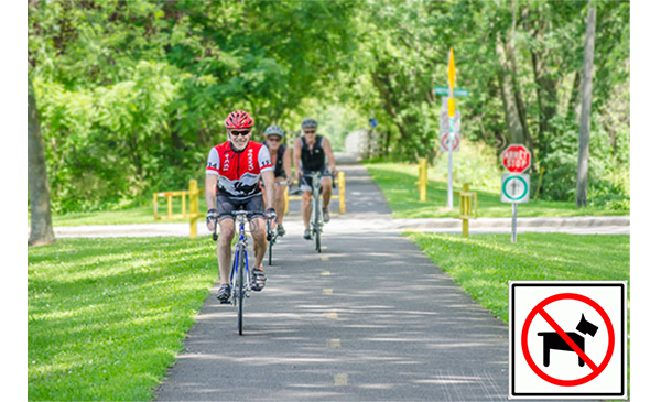 La Route des Champs : une réglementation en vigueur pour la sécurité des usagers