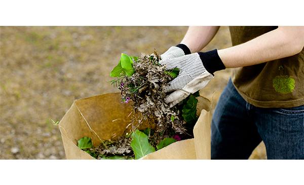 Chambly : collectes des résidus verts et des feuilles mortes