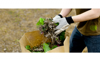 Chambly : collectes des résidus verts et des feuilles mortes