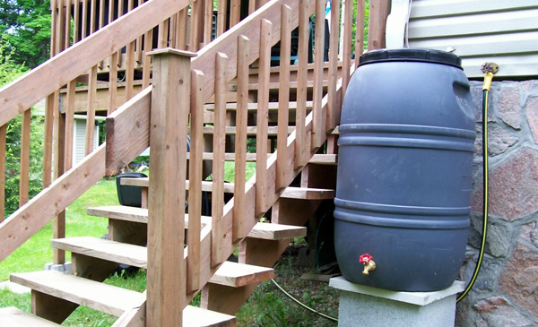 Baril récupérateur d’eau de pluie.